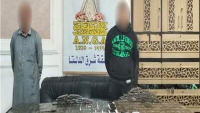 سقوط تاجري مخدرات بحوزتهما 250 طربة حشيش في الدقهلية