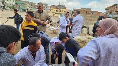 بيطري الشرقية يُجري المسح التناسلي الشامل لـ 4 آلاف و690 رأس ماشية