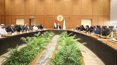 التعليم العالي يشيد بدعم الدولة للتحول الرقمي في جميع المجالات