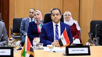 رئيس ديوان الموظفين بفلسطين يشيد بدور مصر في دعم القضية