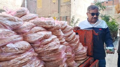 ضبط  15 شيكارة دقيق وتجميع 150 بطاقه تموينيه داخل مخبز بدمنهور