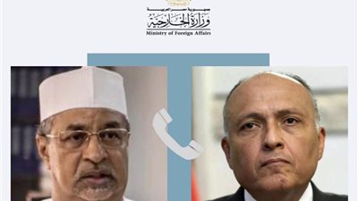 شكري والنضيف يبحثان هاتفيًا تطورات الوضع في السودان