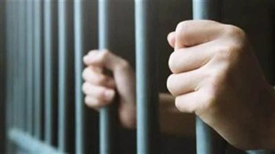 سقوط عصابة نسائية لإدارة كيانًا تعليميًا وهميًا في الإسكندرية وسوهاج