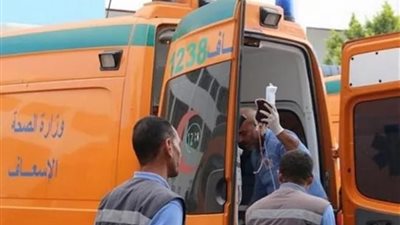 مصرع مزارع أثناء عمله في أرضه بطوخ