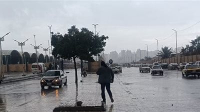 محافظ الإسكندرية يُعلن تعطيل الدراسة بالمدارس بسبب الطقس السيء