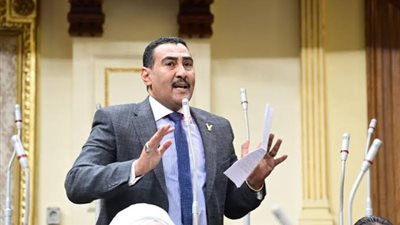 طاقة النواب: المصريين يقفون خلف القيادة السياسية