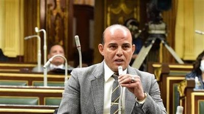 القطامي : السيسي يُعيد الصعيد لخريطة التنمية مرة أخرى 