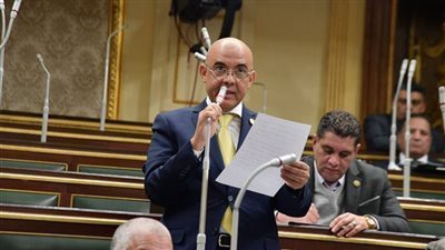 مجلس النواب : حرص الرئيس على تنفيذ رؤية مصر 2030 بمختلف أنحاء الجمهورية