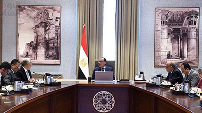 رئيس الوزراء يناقش وزير الزراعة في آليات تحفيز المزارعين