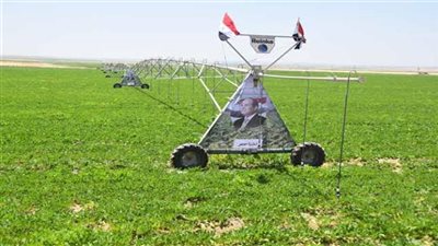 نقيب الزراعيين: مشروع مستقبل مصر للتنمية المستدامة بالضبعة يسعد المصريين