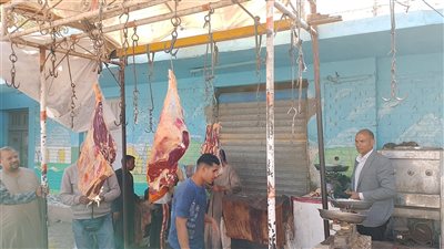 ضبط 87 مخالفة تموينية متنوعة في المنيا