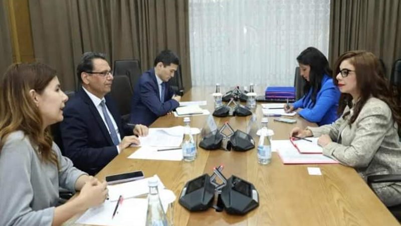 الجامعات المصرية