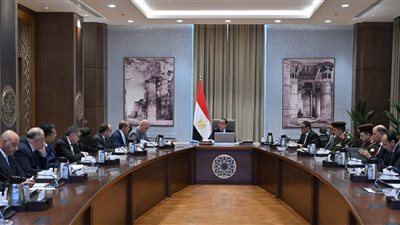 «مدبولي» يتابع الموقف التنفيذي لمشروع حماية شواطئ الإسكندرية