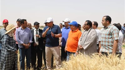 القصير: الانتهاء من المرحلة الأولى لمبادرة الرئيس 100 مليون شجرة مثمرة