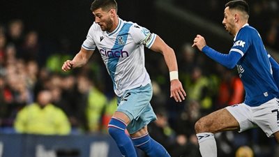 التعادل الايجابي يحسم لقاء ايفرتون وكريستال بالاس في البريميرليج    