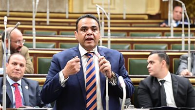 نائب: اتجاه الحكومة لتوطين صناعة الطلمبات خطوة هامة لدعم المشروعات