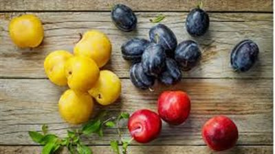 تضمين البرقوق في طعامك اليومي جزء من نظام غذائي متوازن ومتنوع