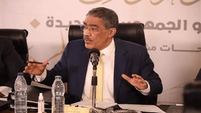 رشوان: الكيان الصهيوني يسعى إلى تدمير دولة فلسطين والمشهد معقد بصورة كبيرة