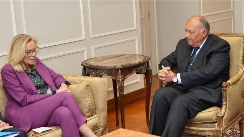 وزير الخارجية- غزة||شكري