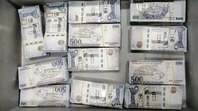 تعرف على عقوبة تهريب العملات وأضرارها بالاقتصاد