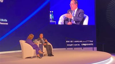 الملا: مصر تعمل على التحول إلى مركز إقليمي لمصادر الطاقة النظيفة 