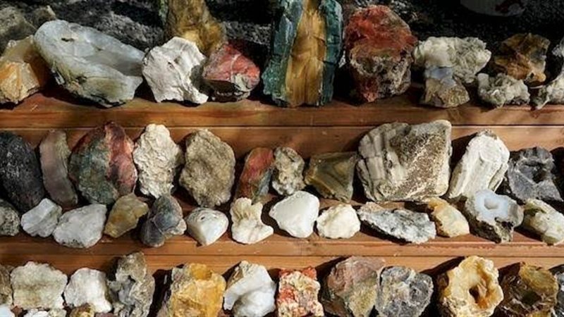 الهوايات الغريبة||||||الهوايات