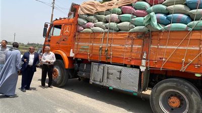 الشون الحكومية بالمنيا تستقبل أكثر من 277 طن من القمح حتى الآن