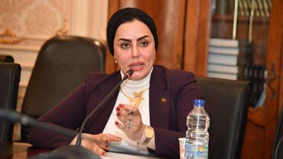 رحاب موسى : تحويل السيارات للعمل بالغاز الطبيعي تهدف إلى الحفاظ على البيئة