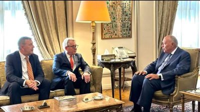 شكري: الوضع الإنساني في قطاع غزة خطير ويجب أن تتكاتف الجهود من أجل وقف الحرب    