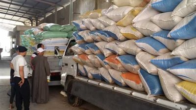 منذ بداية موسم الحصاد..توريد 488 ألف طن قمح لصوامع الشرقية