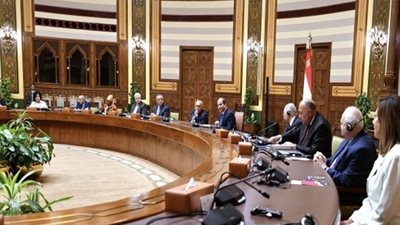 السيسي يلتقي أعضاء مجلس أمناء مكتبة الإسكندرية