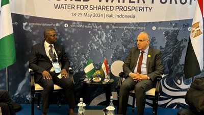 وزير الموارد المائية يلتقي نظيره النيجيري لتعزيز التعاون فى مجال المياه