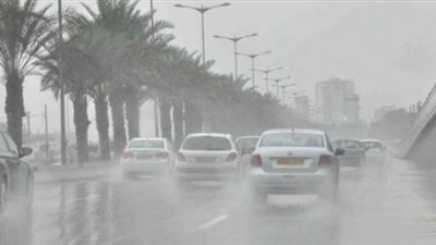 تقلبات جوية حادة وأمطار.. تحذيرات لمرضى الحساسية والجيوب الأنفية
