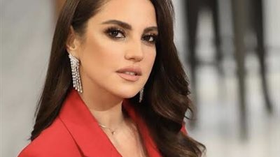 عمرو طنطاوي: تأجيل 