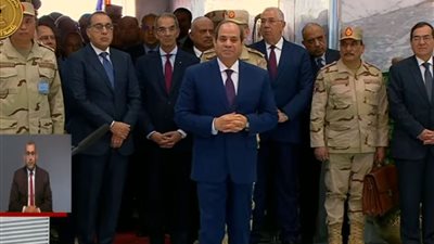 عبر خاصية الفيديو.. السيسي يشهد افتتاح موسم حصاد القمح بتوشكى 4