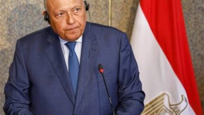 شكري يؤكد على ضرورة منح المساعدات الإنسانية إلى غزة ووقف إطلاق النار 