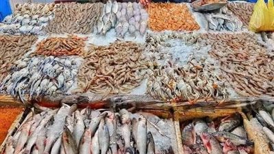 أسعار السمك اليوم الأحد 26-5-2024 بحسب المنطقة