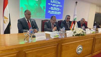 وزير المالية: الأزمات العالمية أثبتت صحة الرؤية المصرية فى تعظيم القدرات الإنتاجية والتصديرية 