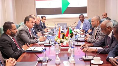 وزير الصحة يلتقي نظيره السوداني لبحث تعزيز سبل التعاون في القطاع الصحي