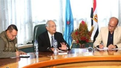 هريدي: القضية الفلسطينية قضية أمن قومي لمصر وهي حدودنا الشرقية