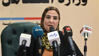 بالتعاون مع جامعة الدول العربية.. مصر تنظم المعرض العربي للأسر المنتجة 