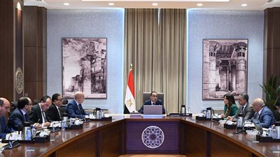 مدبولي: لمسنا مدى جدية شركة 