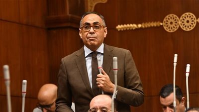 نائب: الاستثمارات الخاصة تُعانى ويحتاج إلى مزيد من الجدية لتحقيق التنمية الاقتصادية