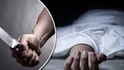 بطلها «مراهق».. القصة الكاملة لـ«جريمة المرج»