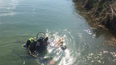 مصرع شخص غرقا في مياه ترعة بمنيا القمح 