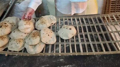 153مخالفة.. حملات مكثفة بالمنيا على المخابز البلدبة
