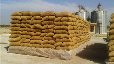 المنيا: توريد أكثر من 312 ألف طن من القمح بالشون الحكومية