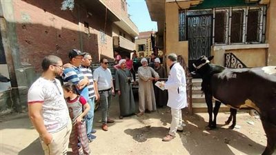 قافلة طبية بيطرية شاملة بالمجان بقرية العجمى في مشتول السوق