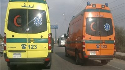 انقلاب سيارة ربع نقل يُصيب 13 عاملًا بالطريق الصحراوي الغربي