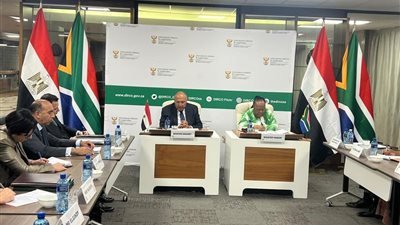 وزير الخارجية يبحث مع نظيرته الجنوب أفريقية التوترات الحالية بالإقليم